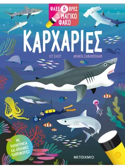 Ψάξε & βρες με τον μαγικό φακό: Καρχαρίες